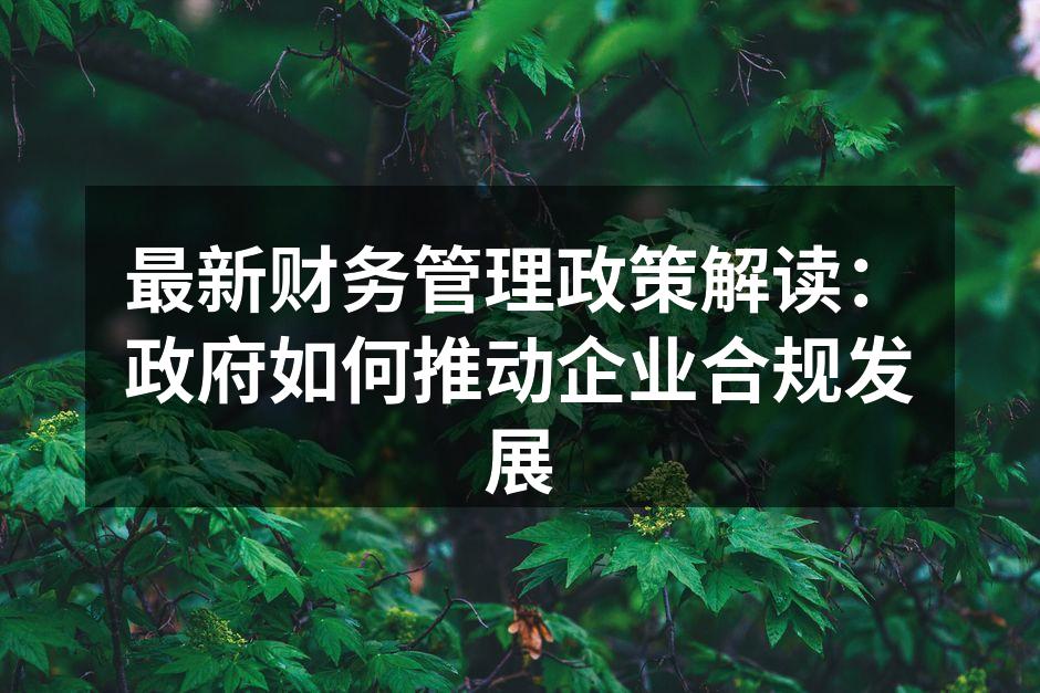 最新财务管理政策解读：政府如何推动企业合