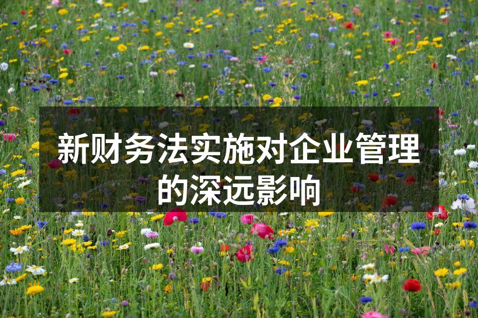 新财务法实施对企业管理的深远影响