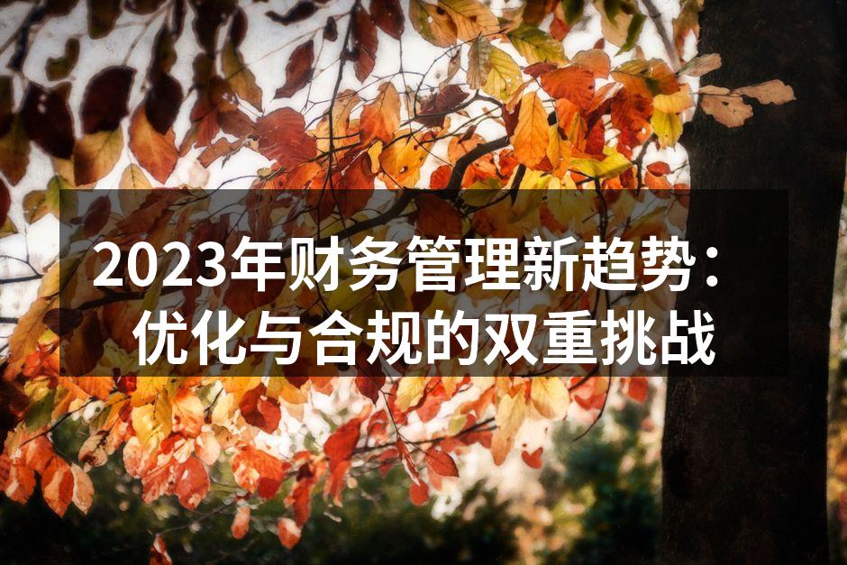 2023年财务管理新趋势：优化与合规的双