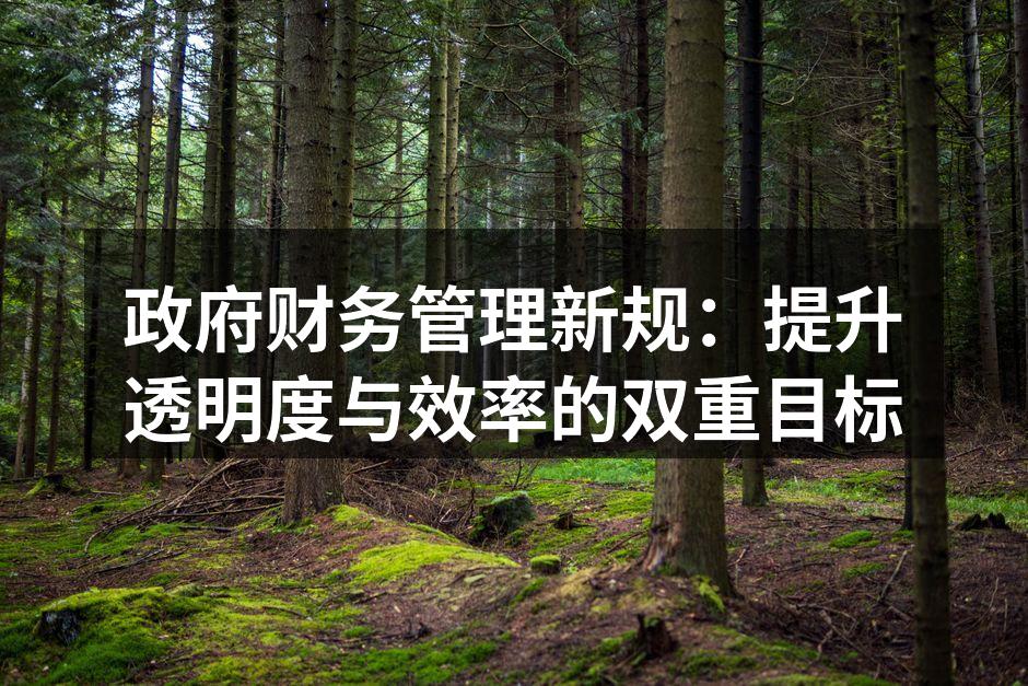 政府财务管理新规：提升透明度与效率的双重